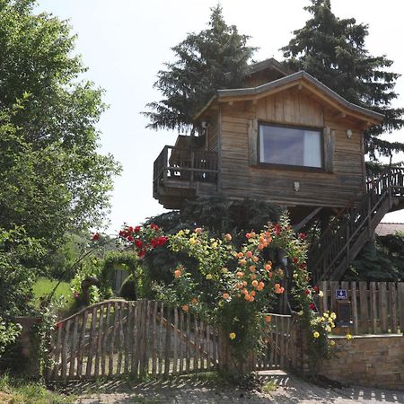 Baumhaus Villa Imbach Екстериор снимка